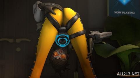 也曾选择参 也曾选择参