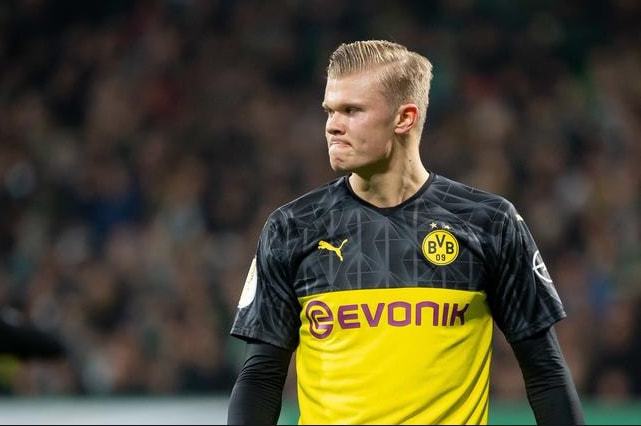 的奋力拼搏 的奋力拼搏