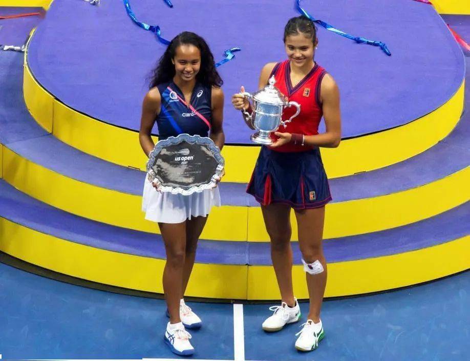 与观赏性 与观赏性