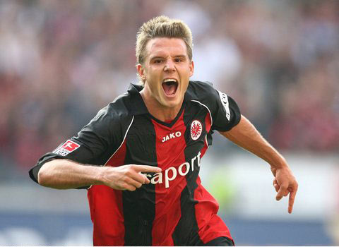 迷的广泛关 迷的广泛关